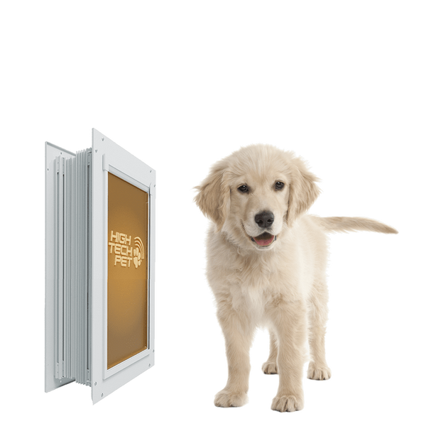 duraflex-heavy-duty-medium-pet