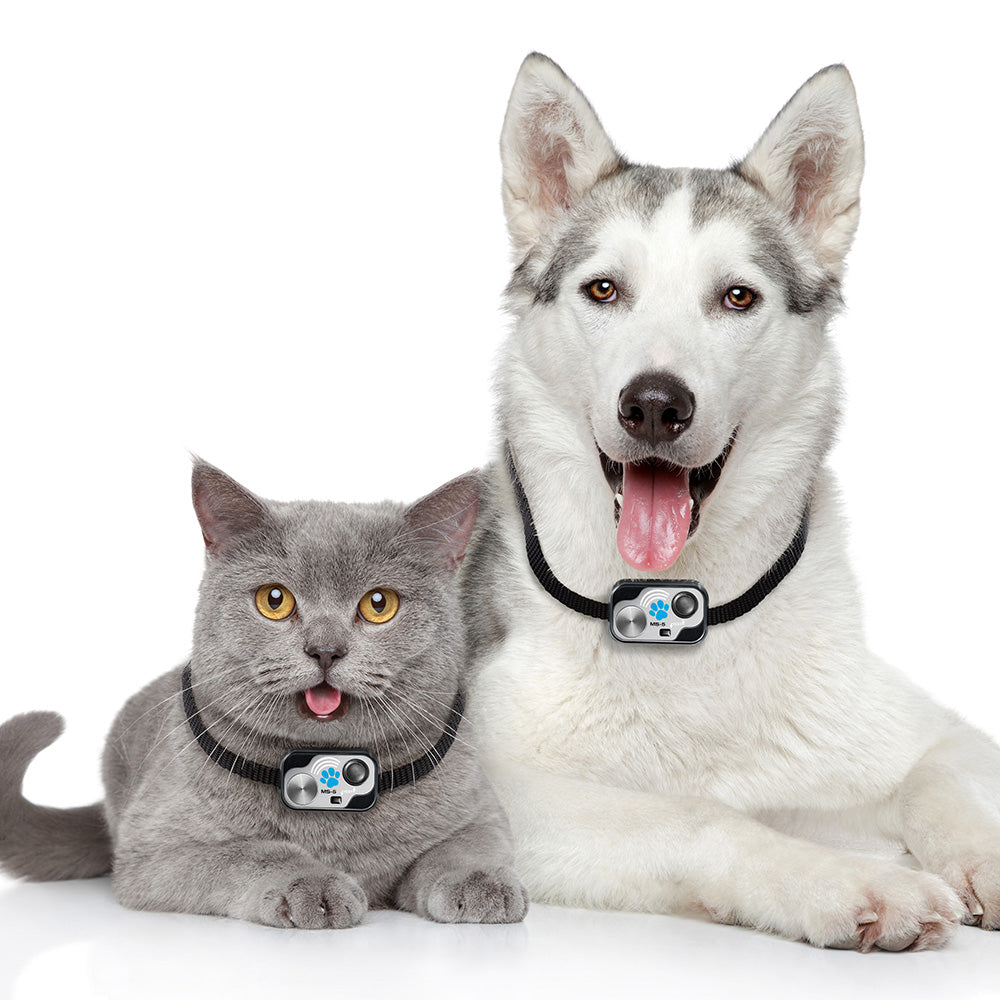 Genuine High Tech Power Pet Door Collar with Digital MS-5 Transmitter