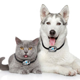 Genuine High Tech Power Pet Door Collar with Digital MS-5 Transmitter