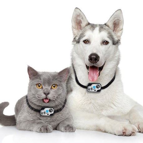 Genuine High Tech Power Pet Door Collar with Digital MS-5 Transmitter