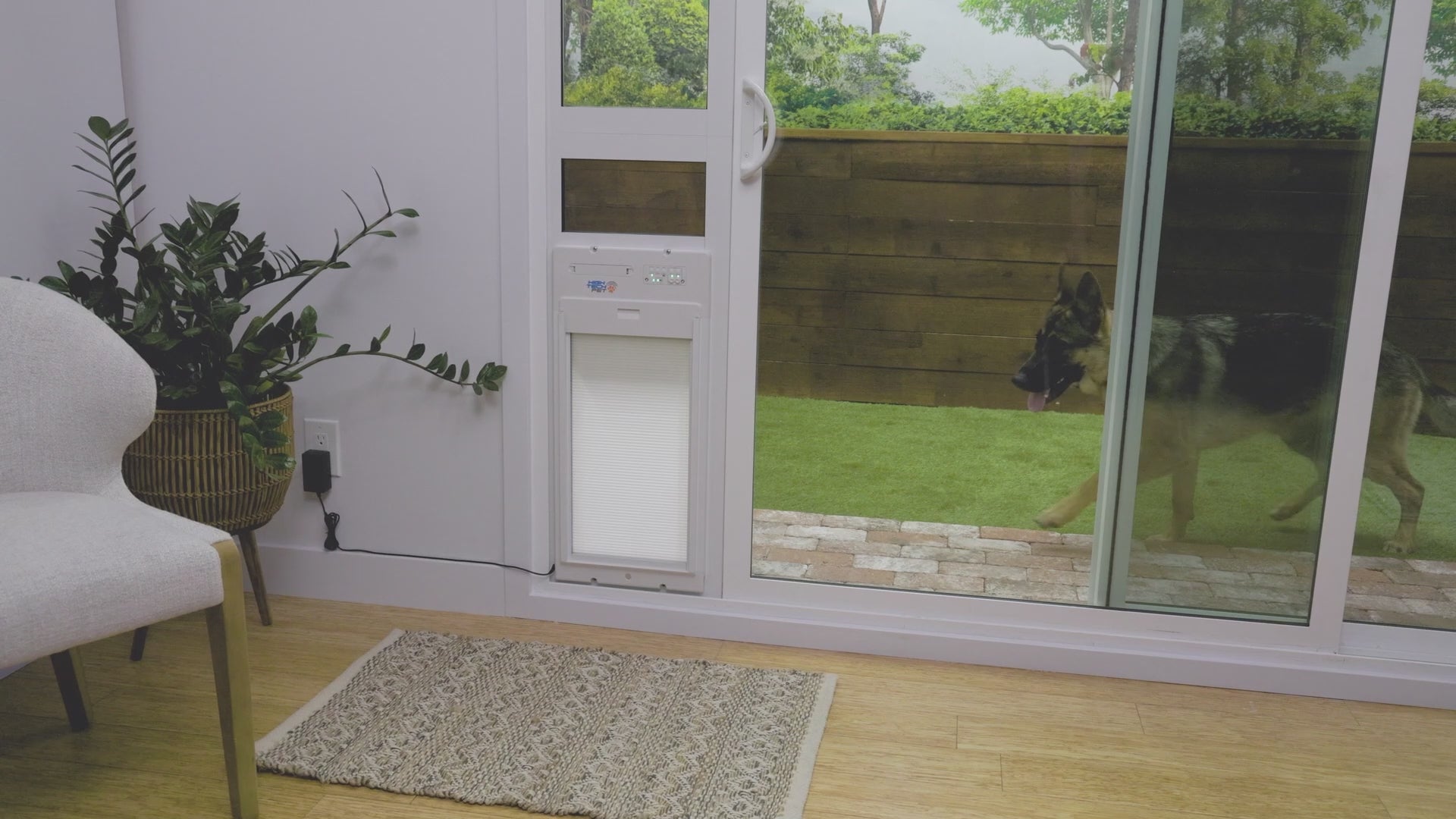 PXR-SRE-L LARGE, REG HEIGHT POWER PET PATIO ROLL UP WiFi PET DOOR