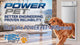 Power Pet Smart Automatic Dog Door - Medium, Wall Installation Bundle