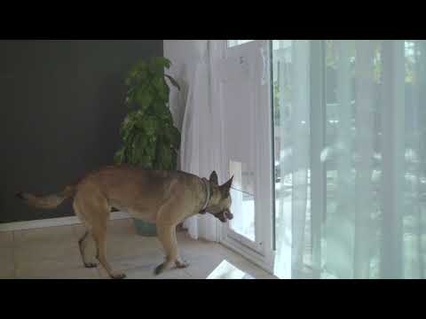 Power Pet Large Patio Pet Door Regular Height