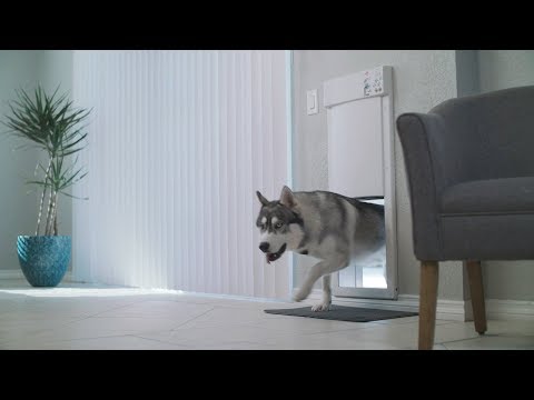 Model PX-2 LARGE POWER PET ® DOOR for All Pets up to 100 lbs.