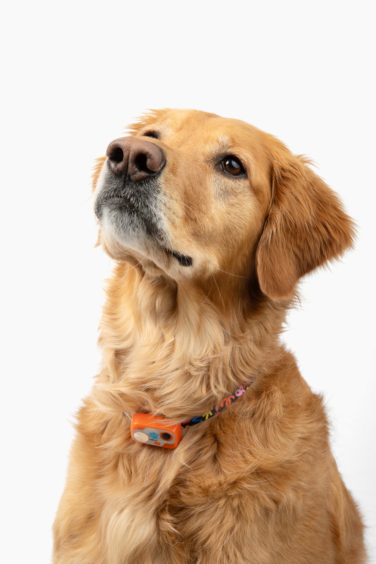 MS-5 Mac Designer Series Automatic Pet Door Collar