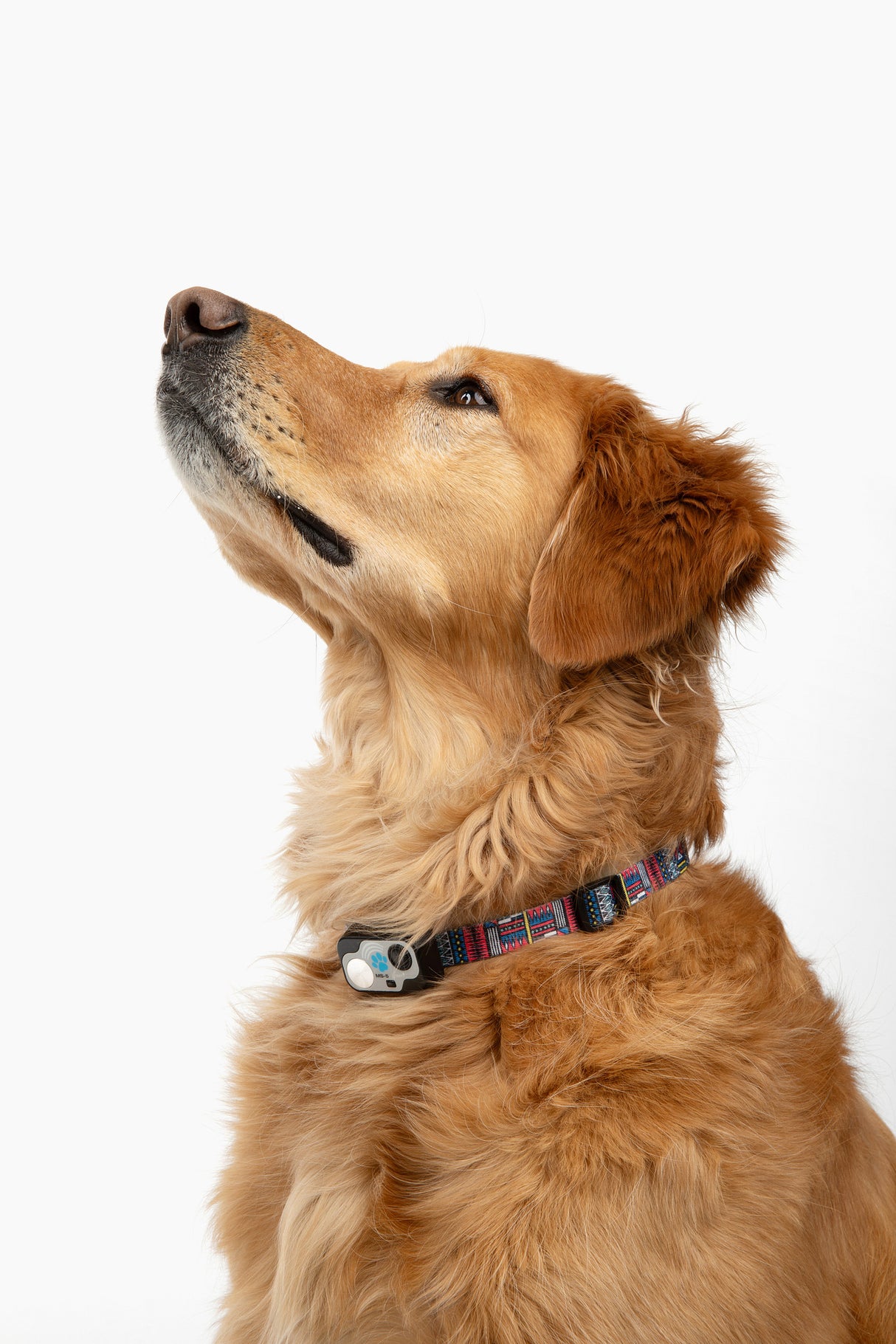MS-5 Tribal Designer Series Automatic Pet Door Collar